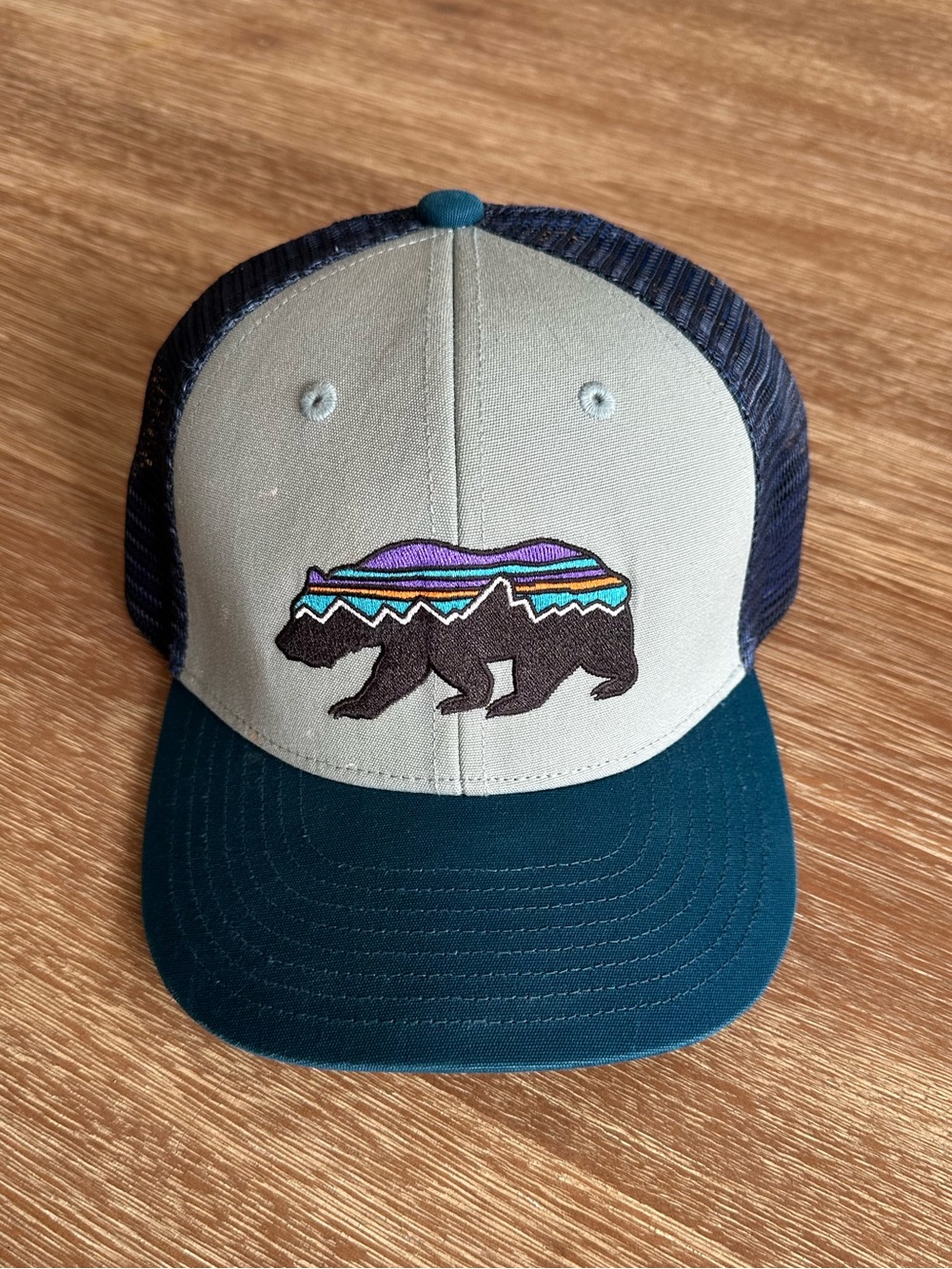 Patagonia Kids Teal & Gray Bear Trucker Hat